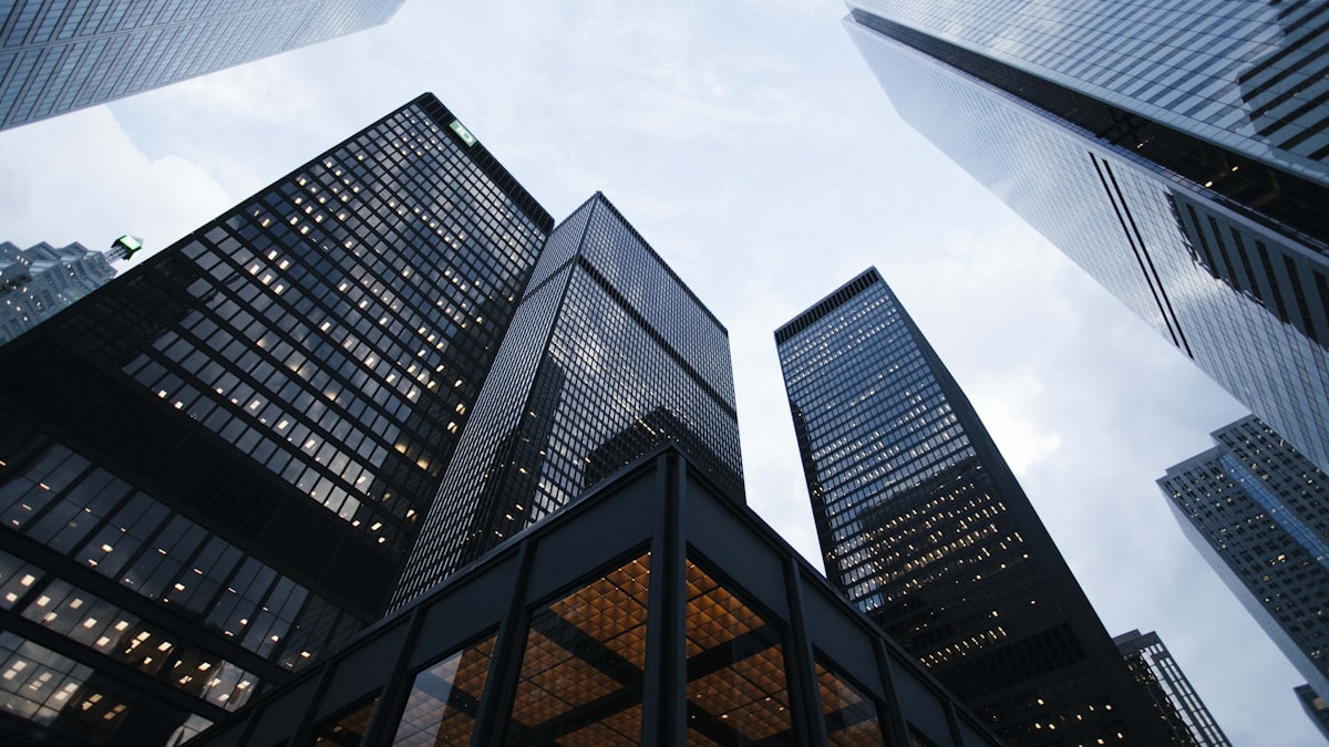 Artère urbaine et réseau de commerces multi-établissements